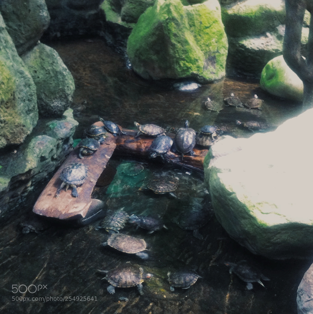 Apple iPhone 4 sample photo. ??? photography