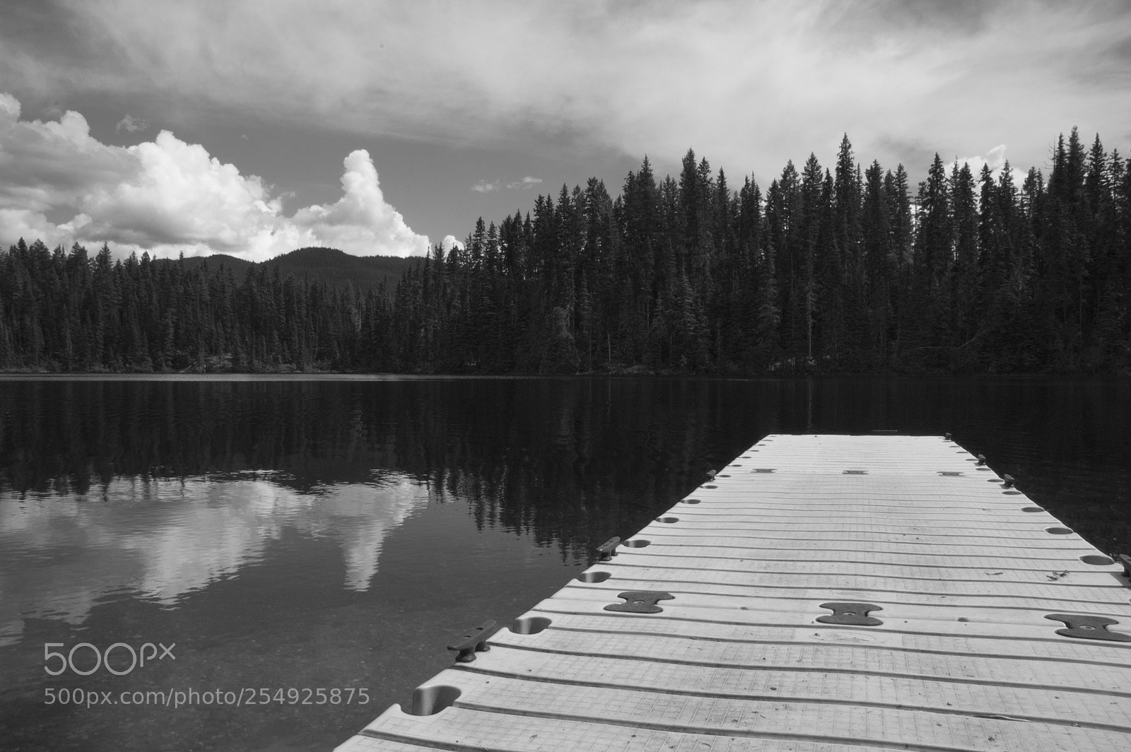 Nikon D70s sample photo. The white jetty photography