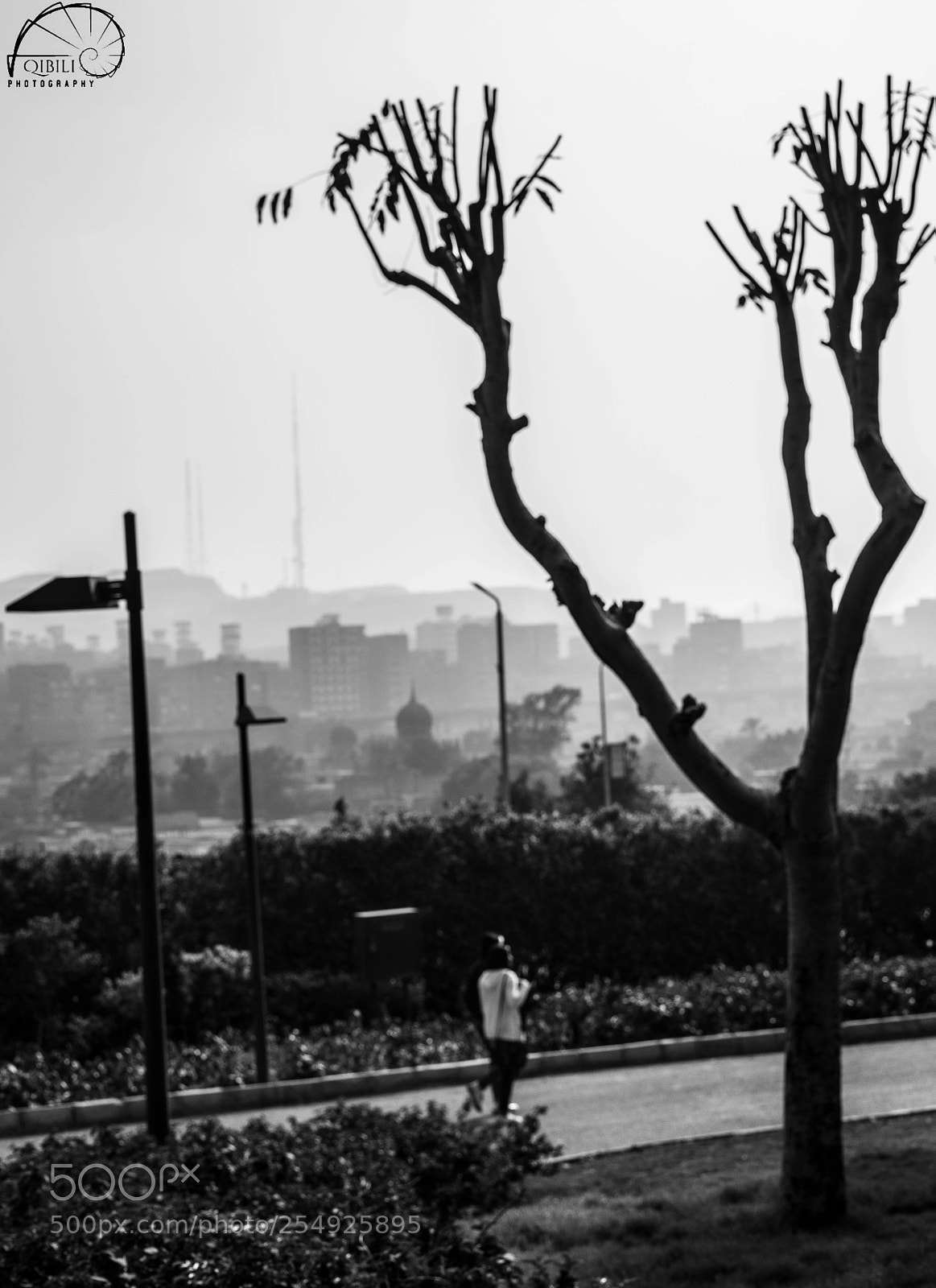 Sony a7 II sample photo. Apocalyptic al azhar park photography