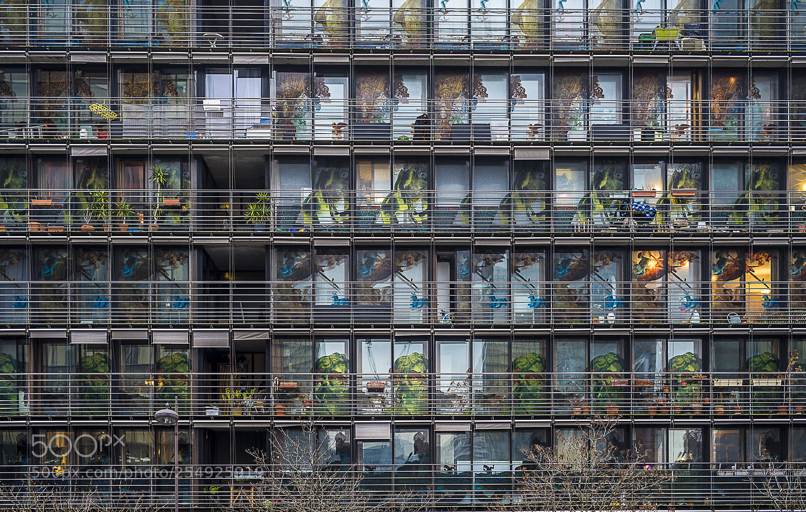 Nikon D810 sample photo. Windows photography