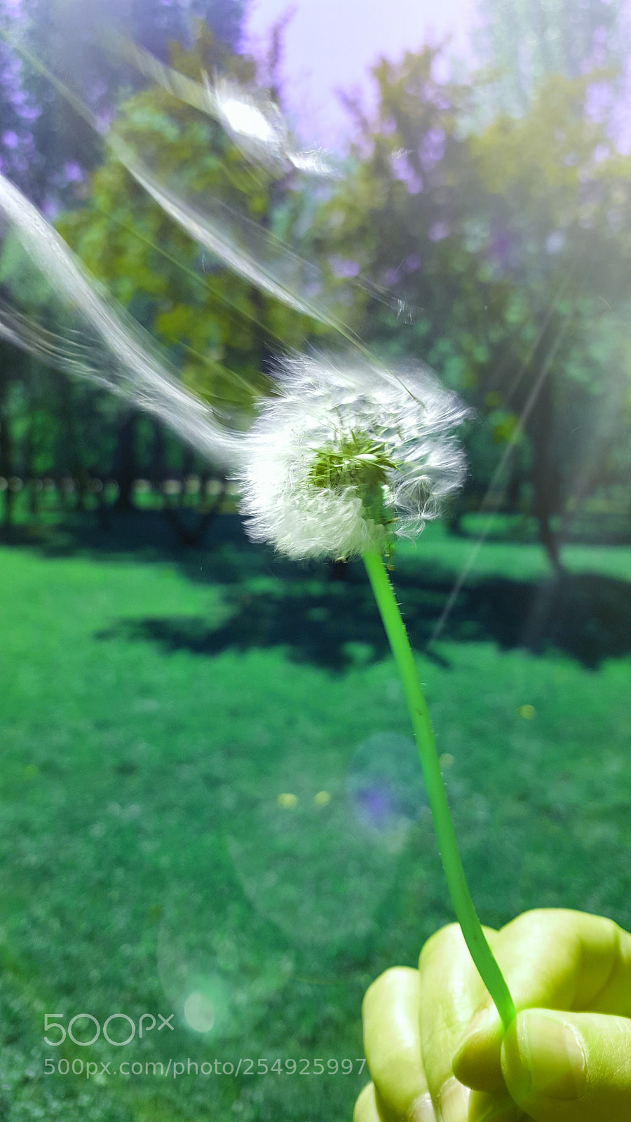 Samsung Galaxy S6 sample photo. Untitled photography