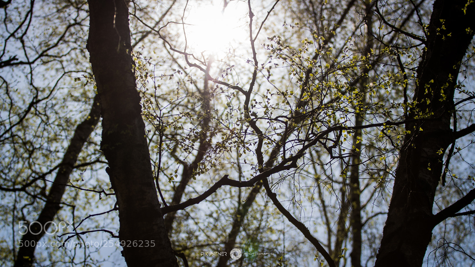 Canon EOS 760D (EOS Rebel T6s / EOS 8000D) sample photo. Img photography