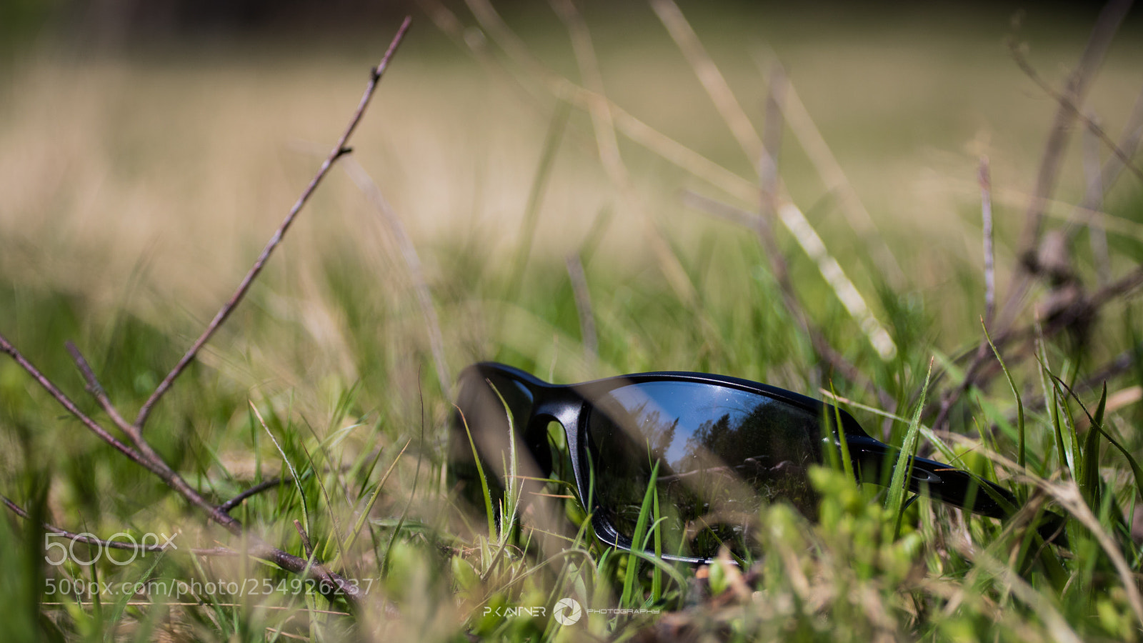 Canon EOS 760D (EOS Rebel T6s / EOS 8000D) sample photo. Img photography