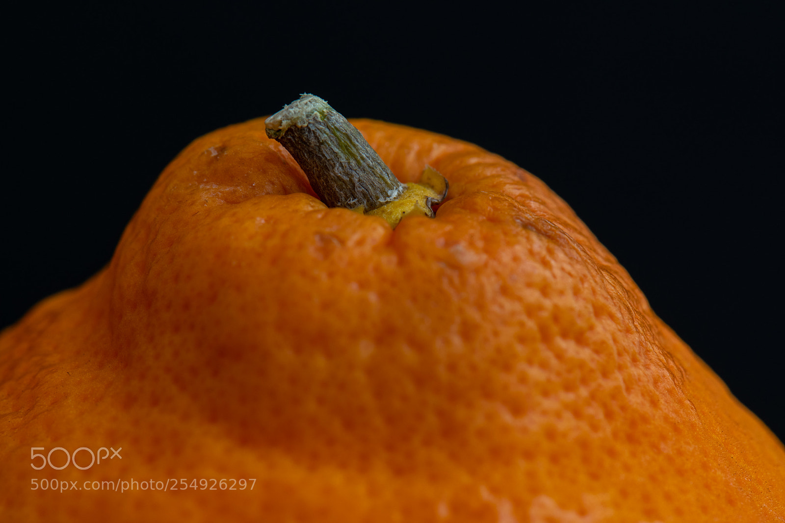 Nikon D5300 sample photo. Connection interrupted photography
