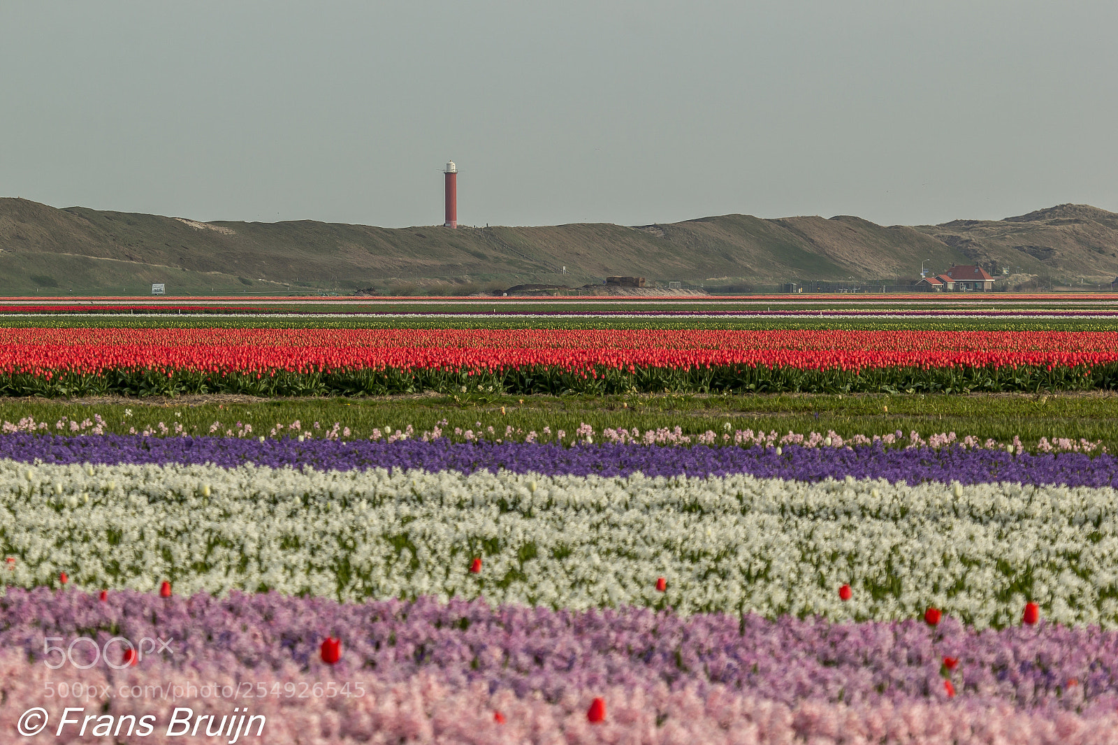 Canon EOS 60D sample photo. Lichttoren photography