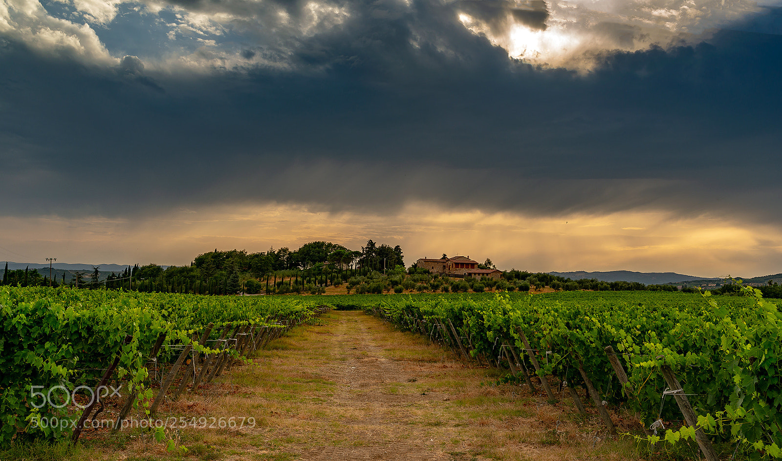 Nikon D800 sample photo. Some wine? photography