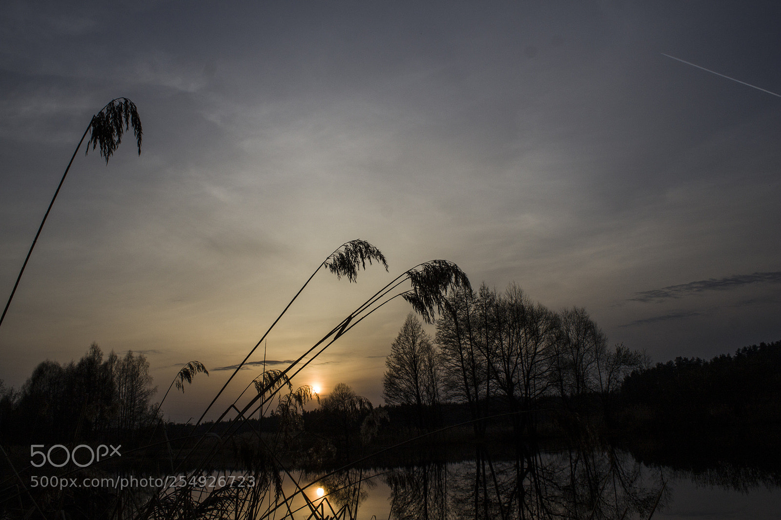 Canon EOS 500D (EOS Rebel T1i / EOS Kiss X3) sample photo. Sunset over mаkauza photography