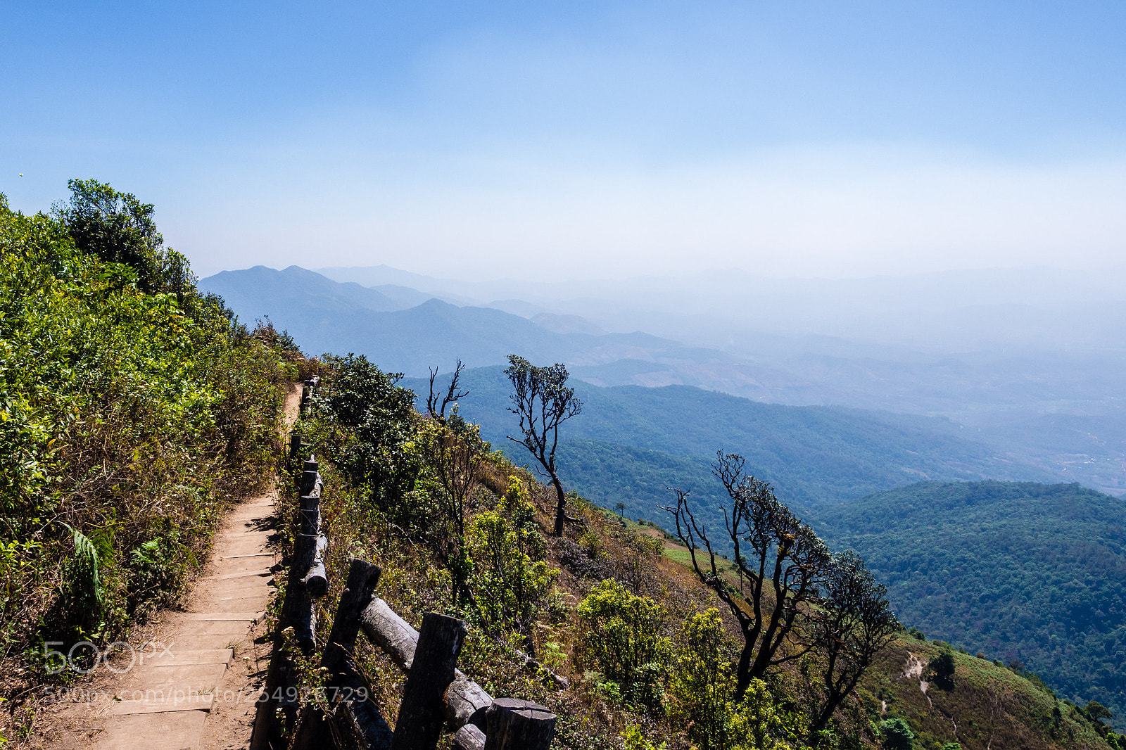 Olympus OM-D E-M5 sample photo. Doi inthanon national park photography