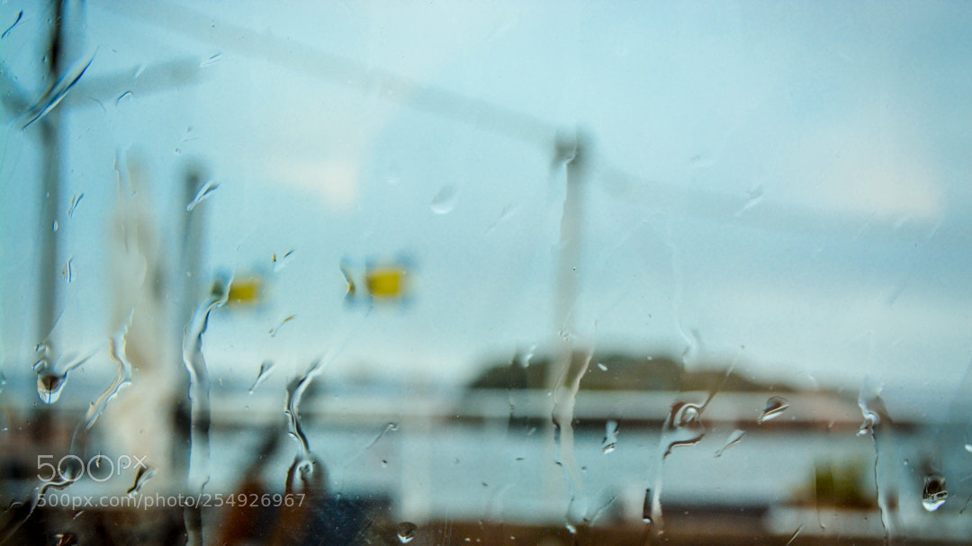 Nikon D5200 sample photo. Rainy day. photography