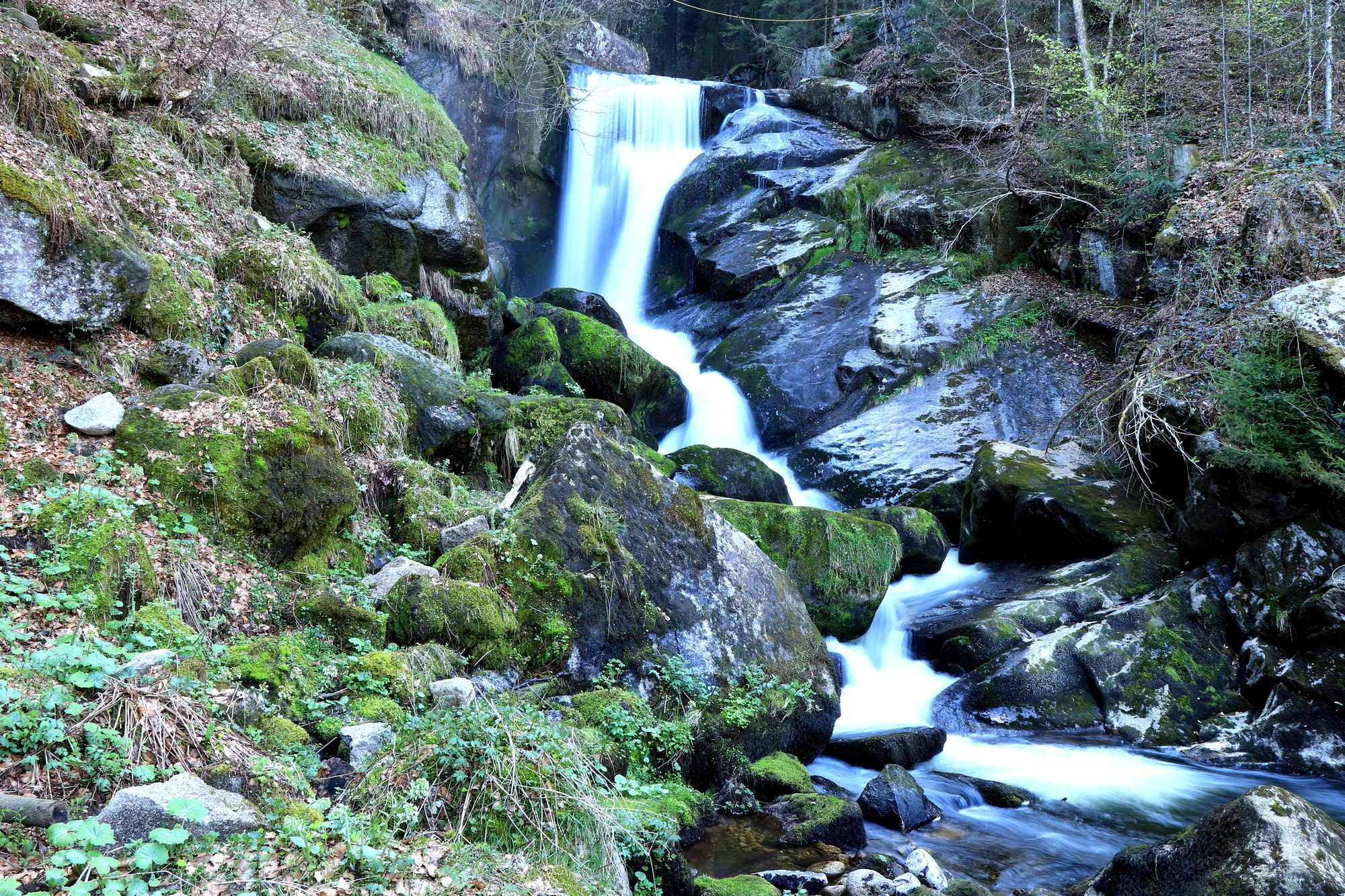 Canon EOS 77D (EOS 9000D / EOS 770D) sample photo. Triberger wasserfall photography