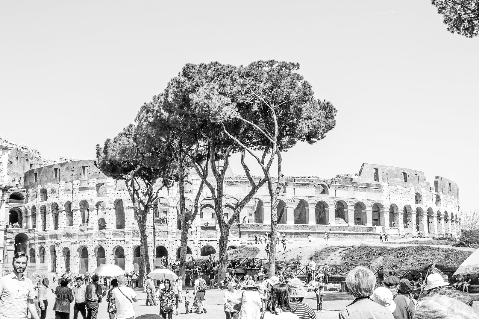 Canon EOS 7D Mark II sample photo. Colosseum photography