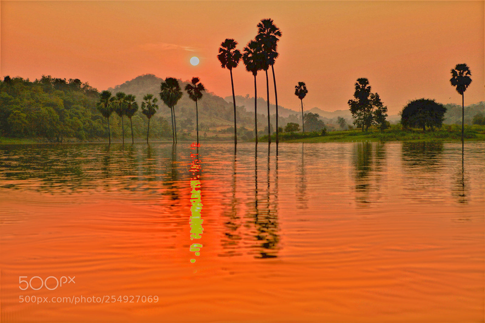 Canon EOS 5D Mark II sample photo. Reflections photography