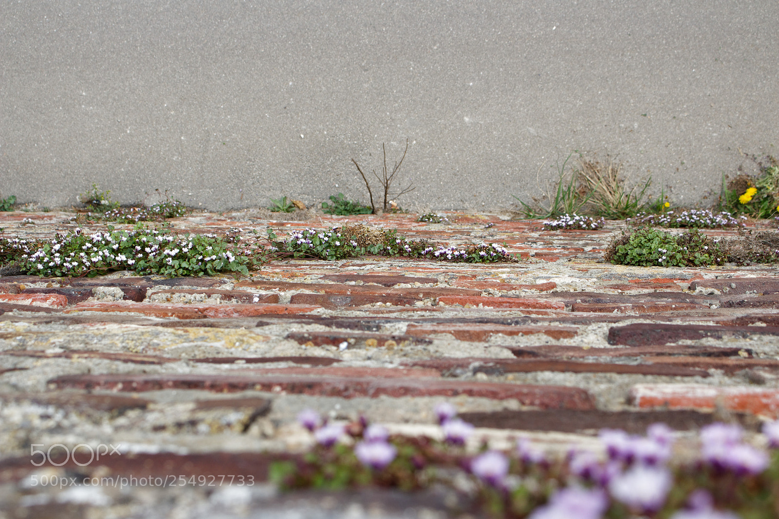 Canon EOS 700D (EOS Rebel T5i / EOS Kiss X7i) sample photo. Dxo photography