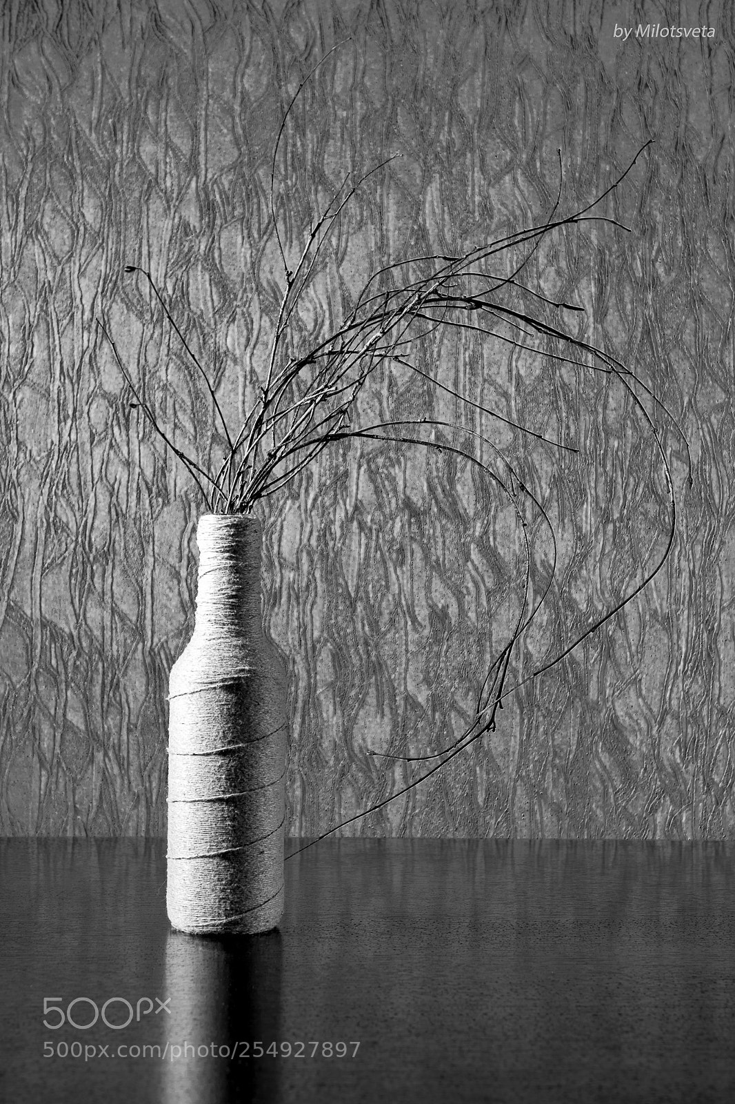 Nikon D3300 sample photo. Like silver photography