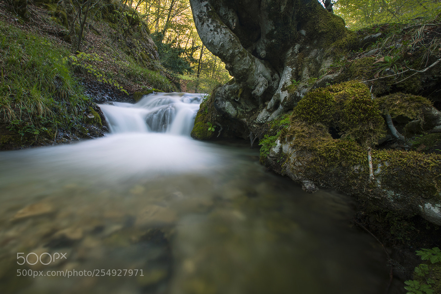 Canon EOS 6D Mark II sample photo. A quiet place. photography