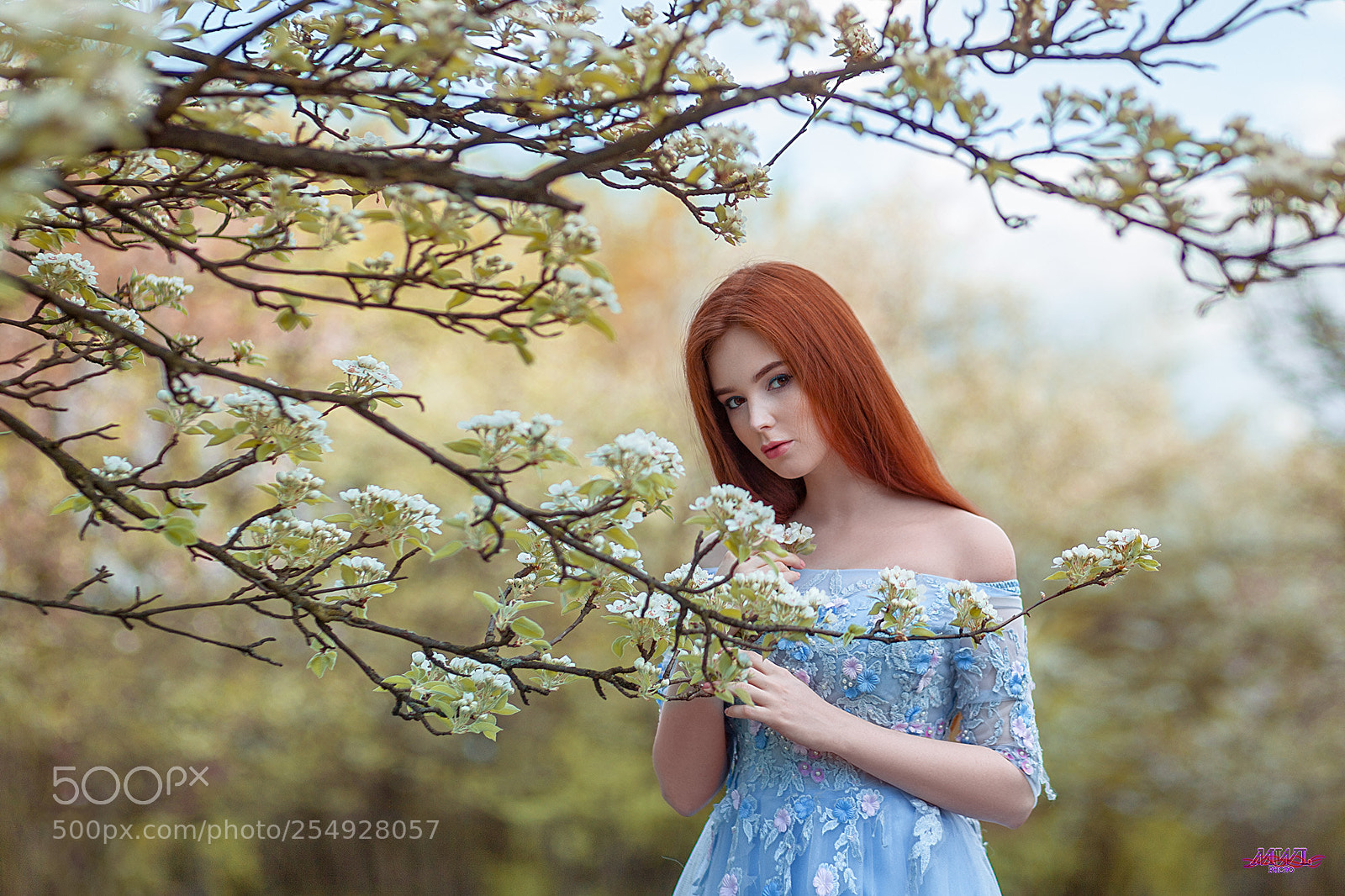 Canon EOS 5D Mark II sample photo. Bloom photography