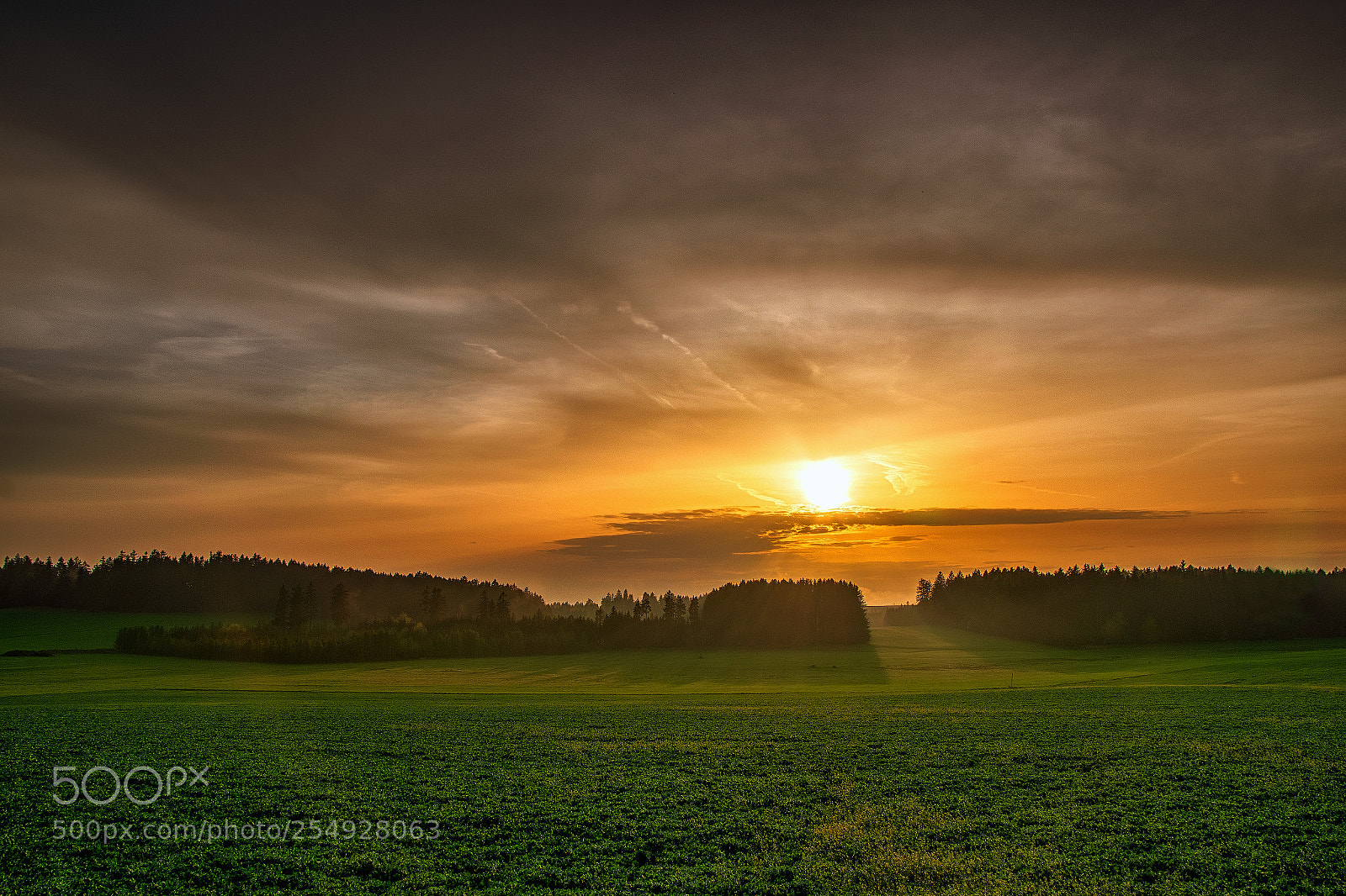 Nikon D5600 sample photo. Jarn zapad n po photography
