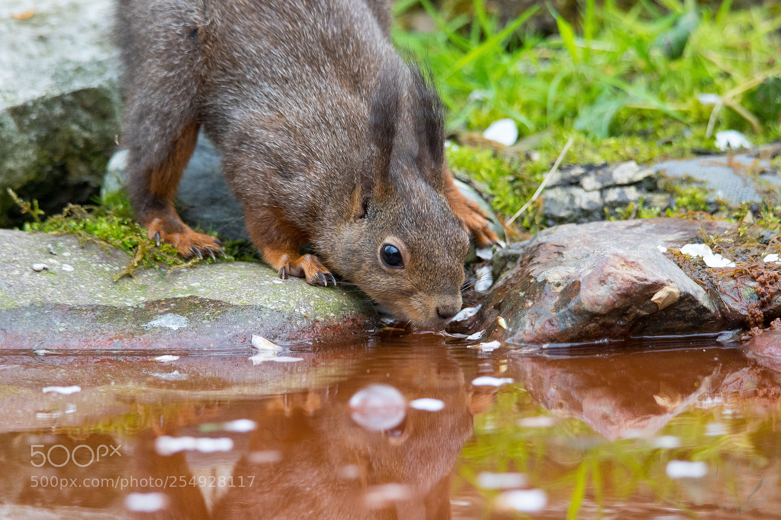 Canon EOS 7D Mark II sample photo. 430a8845_2.jpg photography