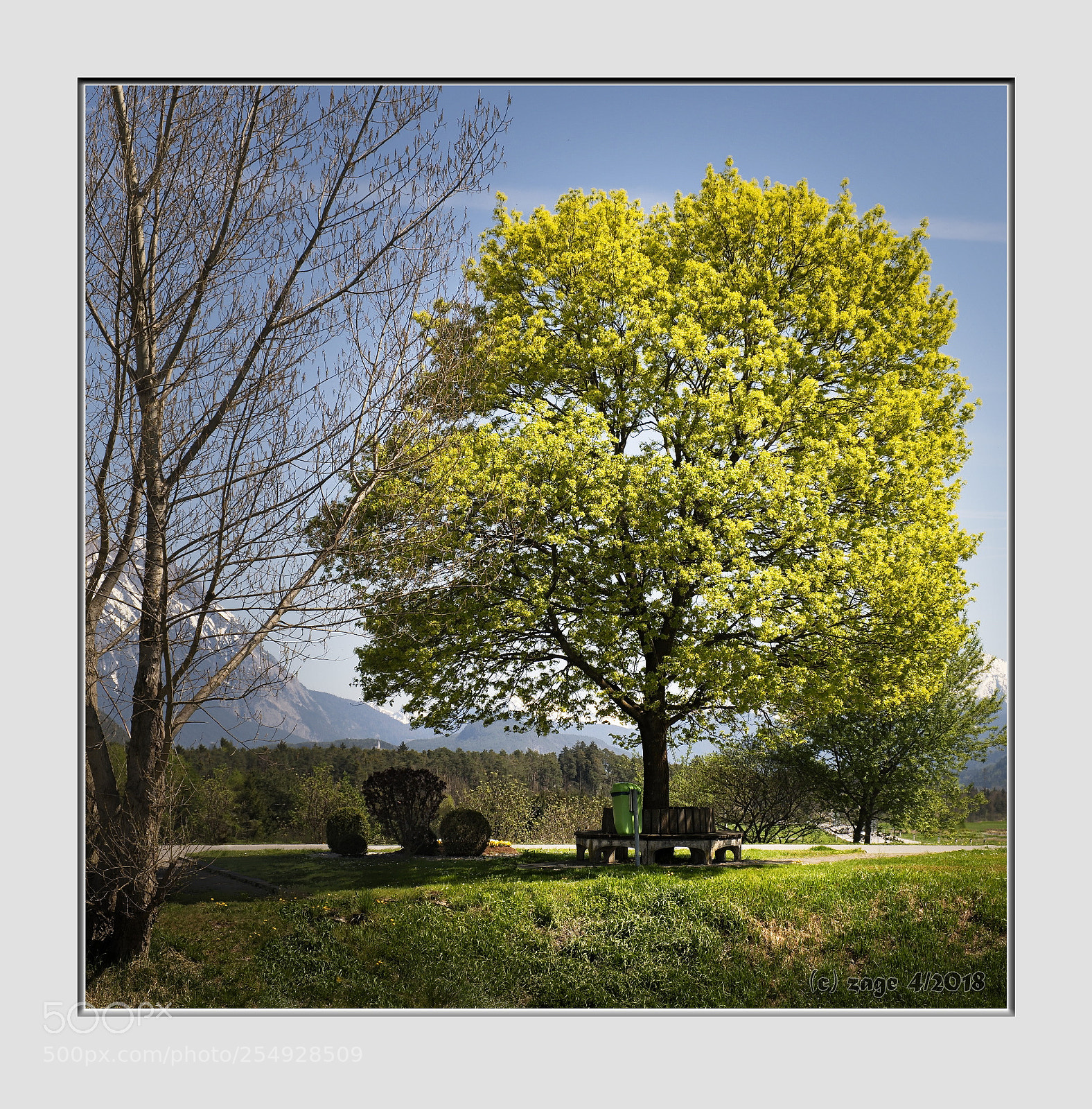 Fujifilm X-T20 sample photo. Baum an der stlichen photography