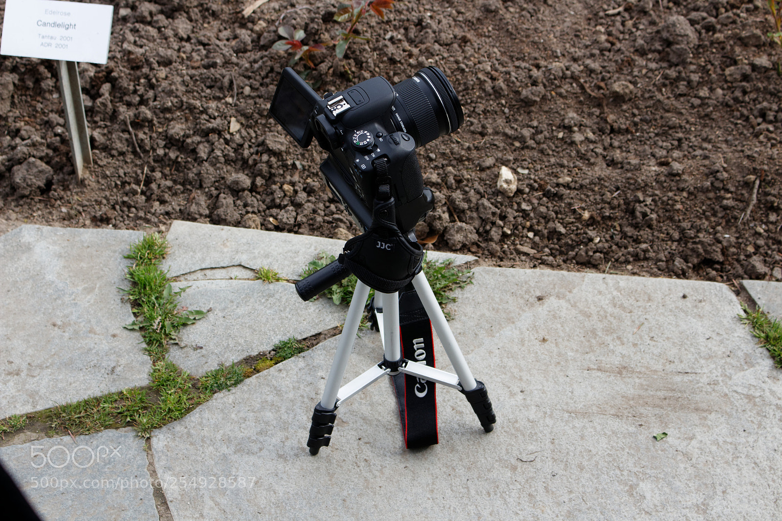Canon EOS 700D (EOS Rebel T5i / EOS Kiss X7i) sample photo. Dxo photography