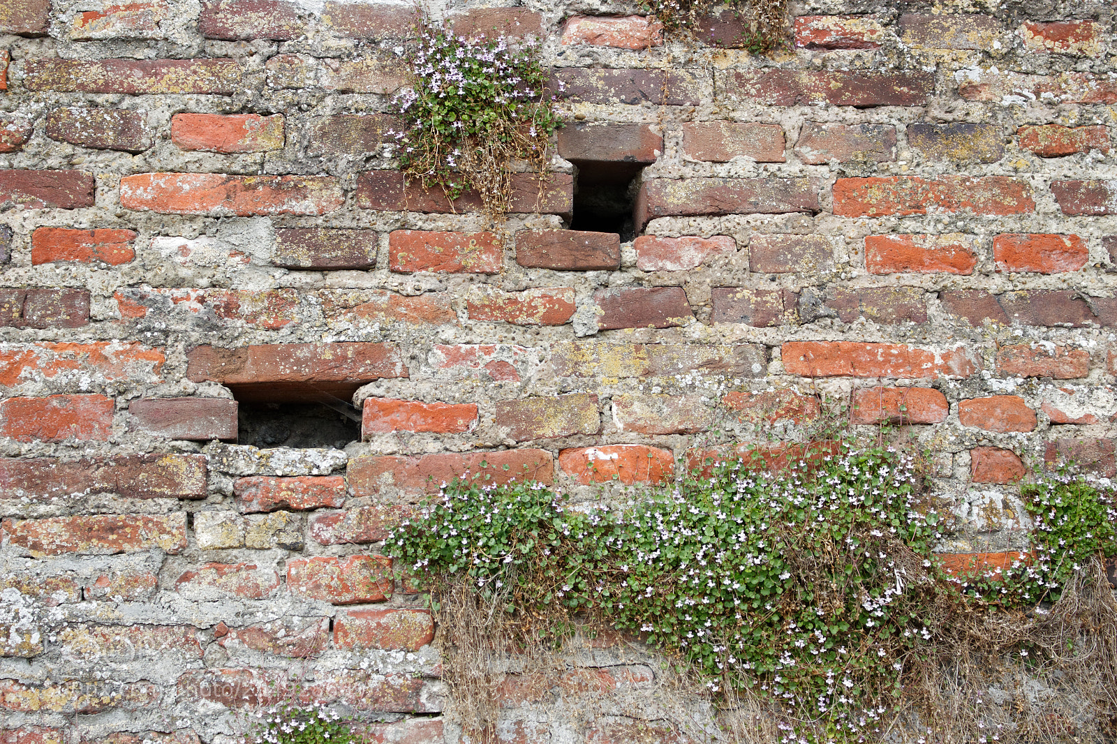 Canon EOS 700D (EOS Rebel T5i / EOS Kiss X7i) sample photo. Dxo photography