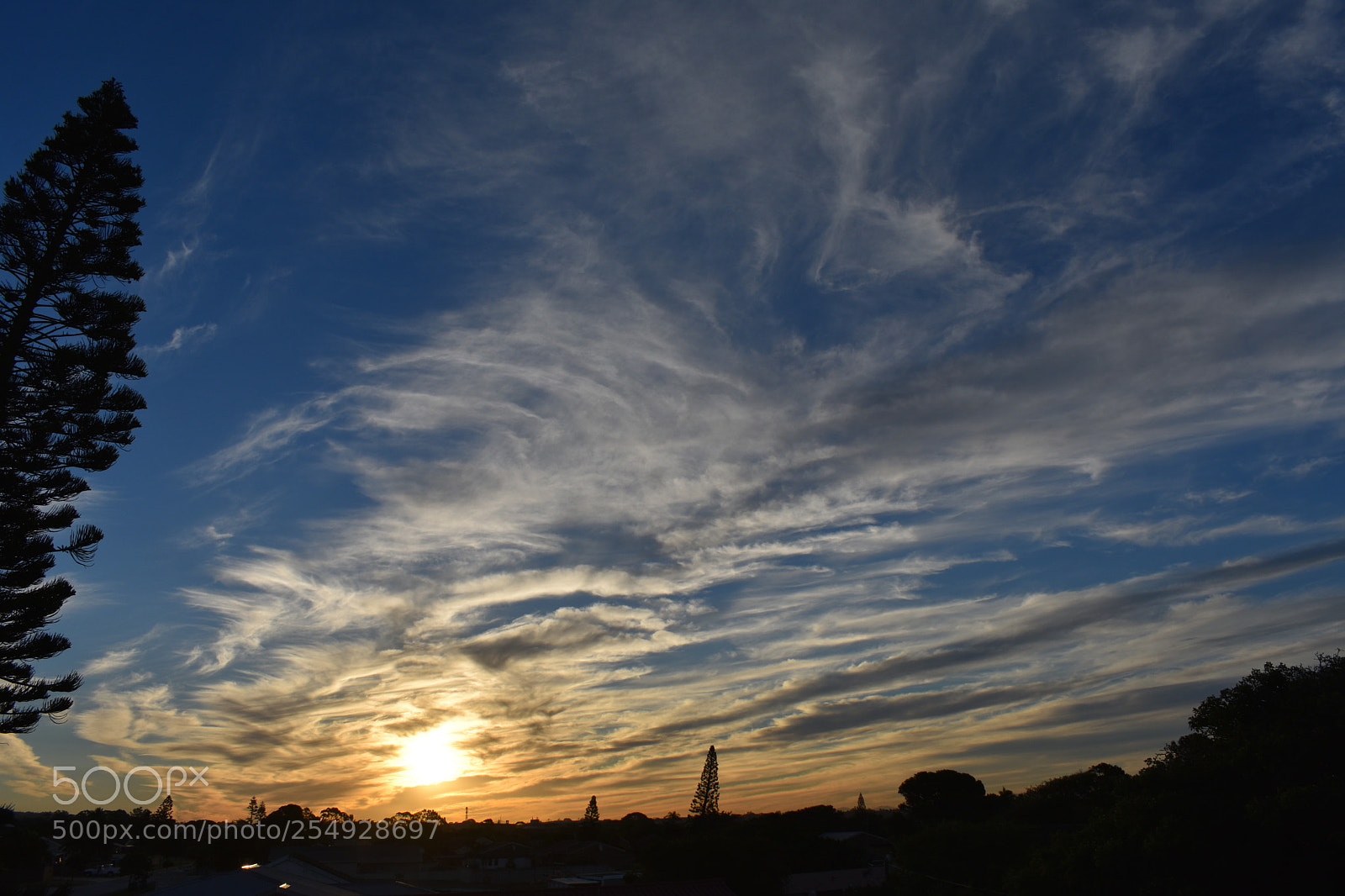 Nikon D3400 sample photo. The opening of the photography