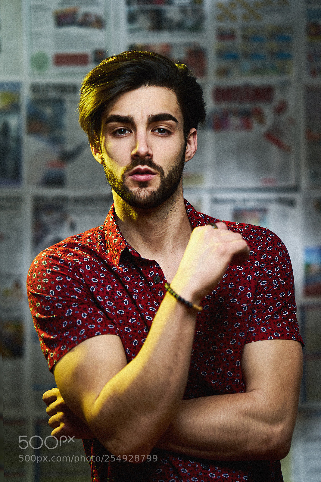 Sony a7 II sample photo. Marco photography