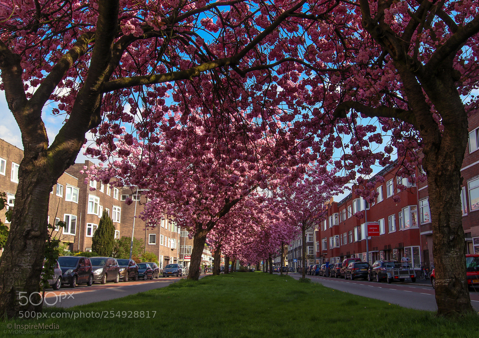 Canon EOS 80D sample photo. Walking through by mrofcolorsphotography photography