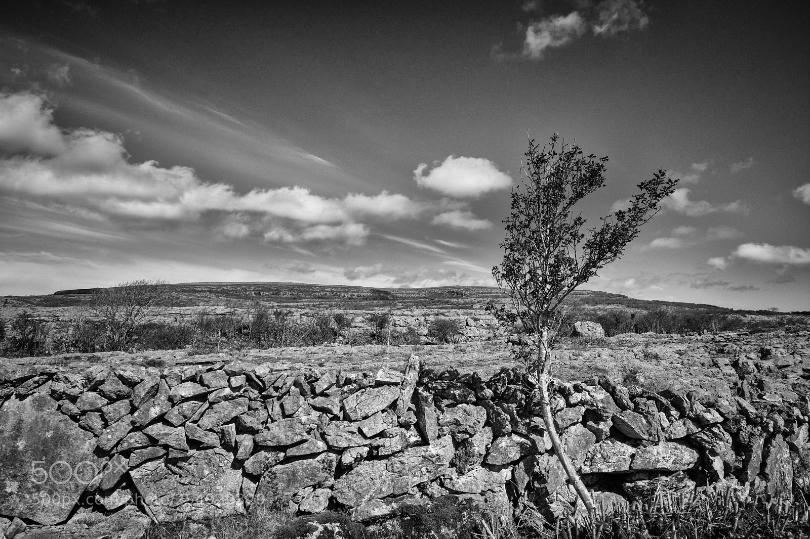 Nikon D7200 sample photo. The burren photography