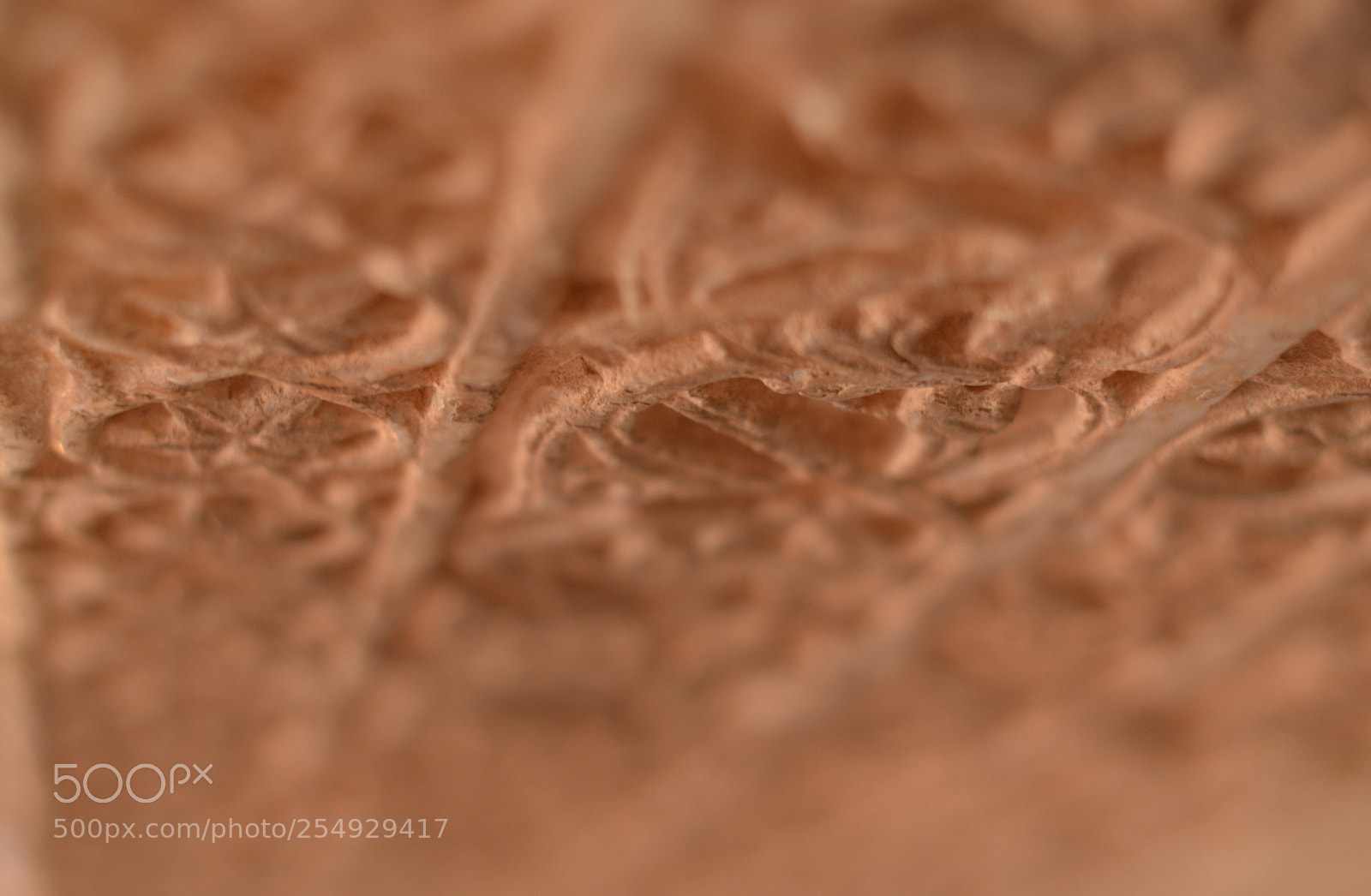 Nikon D800 sample photo. Details photography