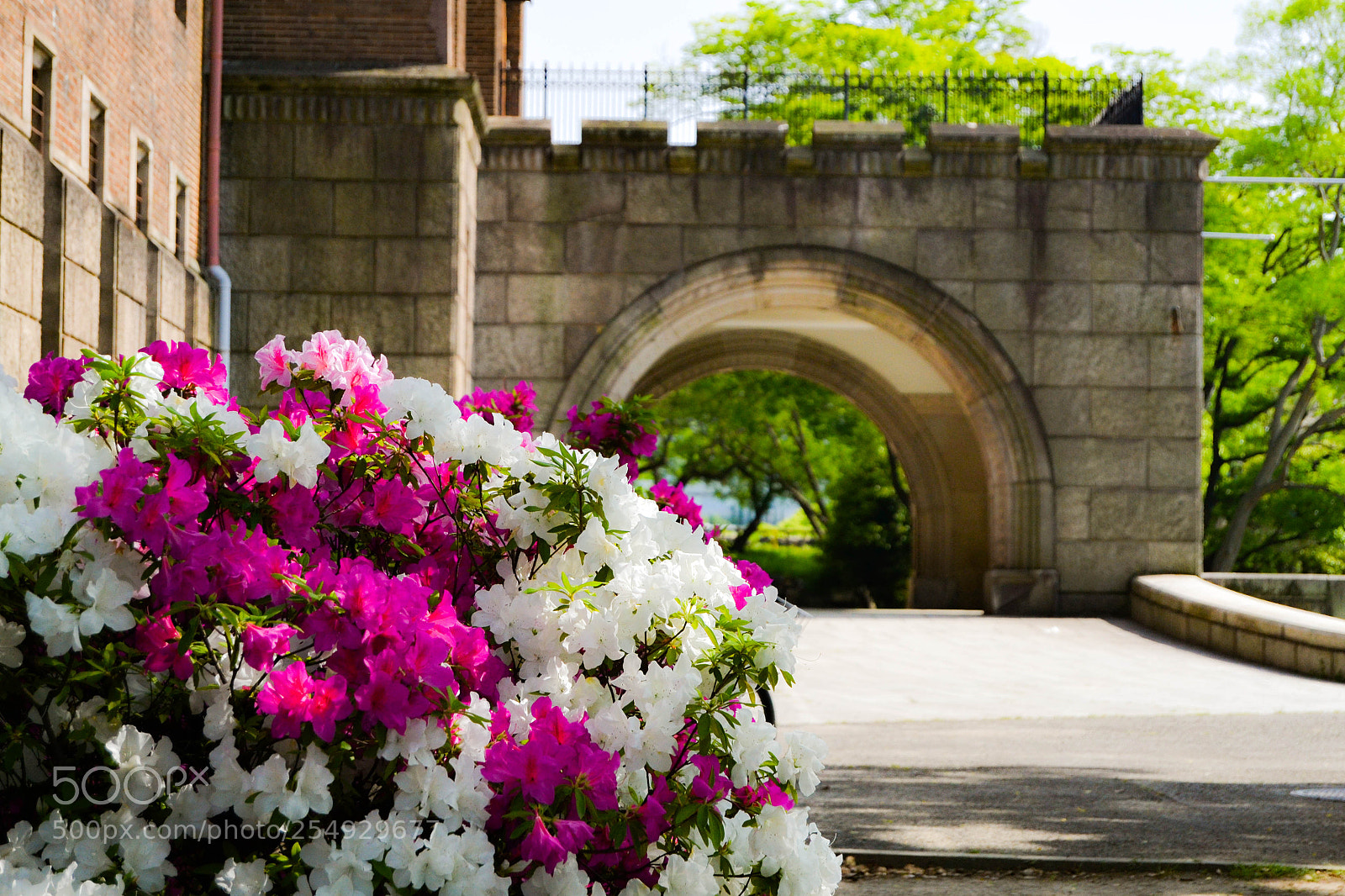 Nikon D3100 sample photo. Osaka photography