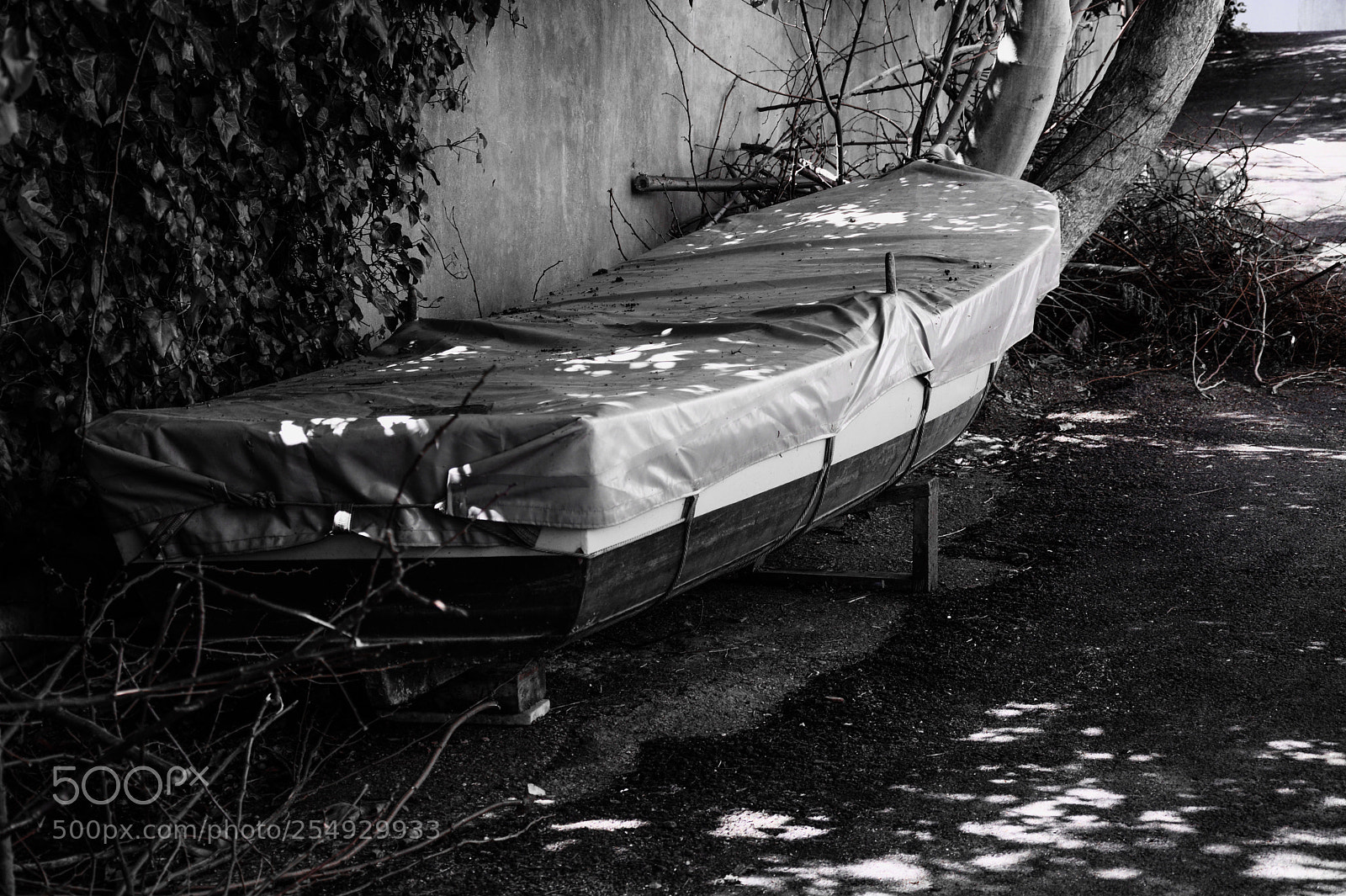 Nikon D7100 sample photo. Drama.. photography