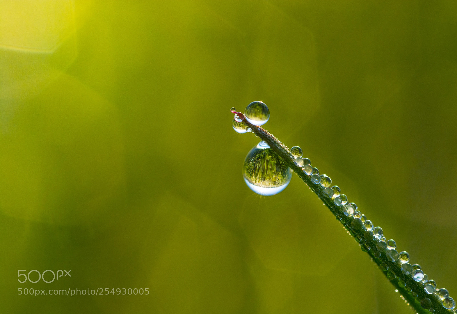 Nikon D7100 sample photo. Morning photography