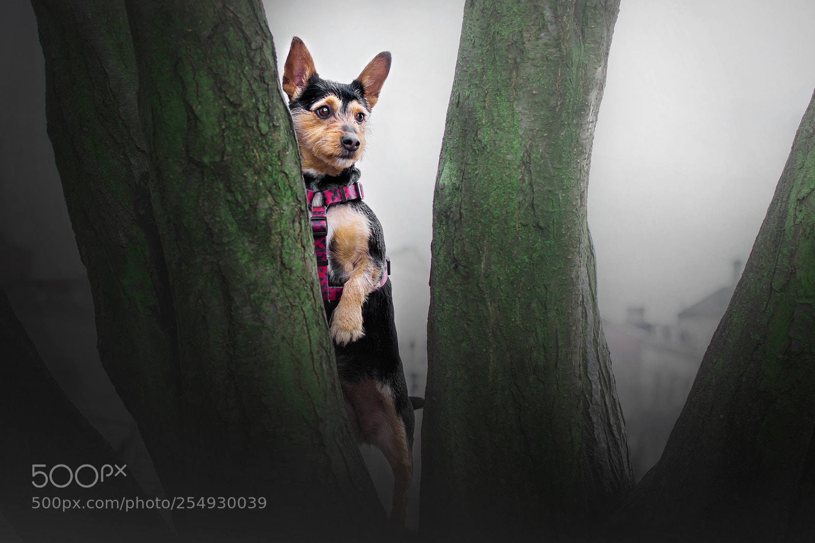 Nikon D7200 sample photo. Nela p3 photography