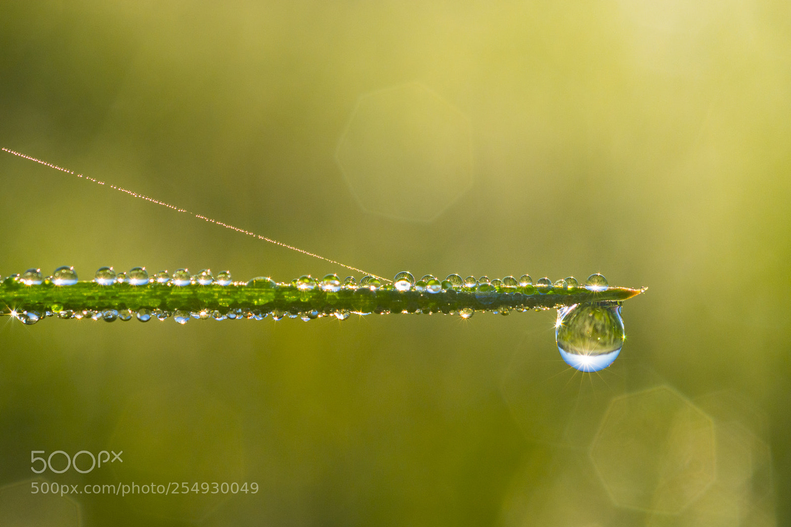 Nikon D7100 sample photo. Morning photography