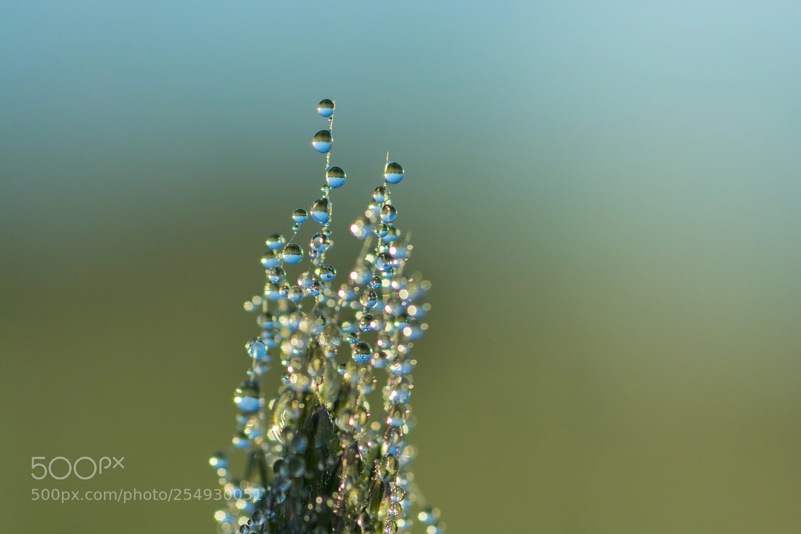 Nikon D7100 sample photo. Morning photography