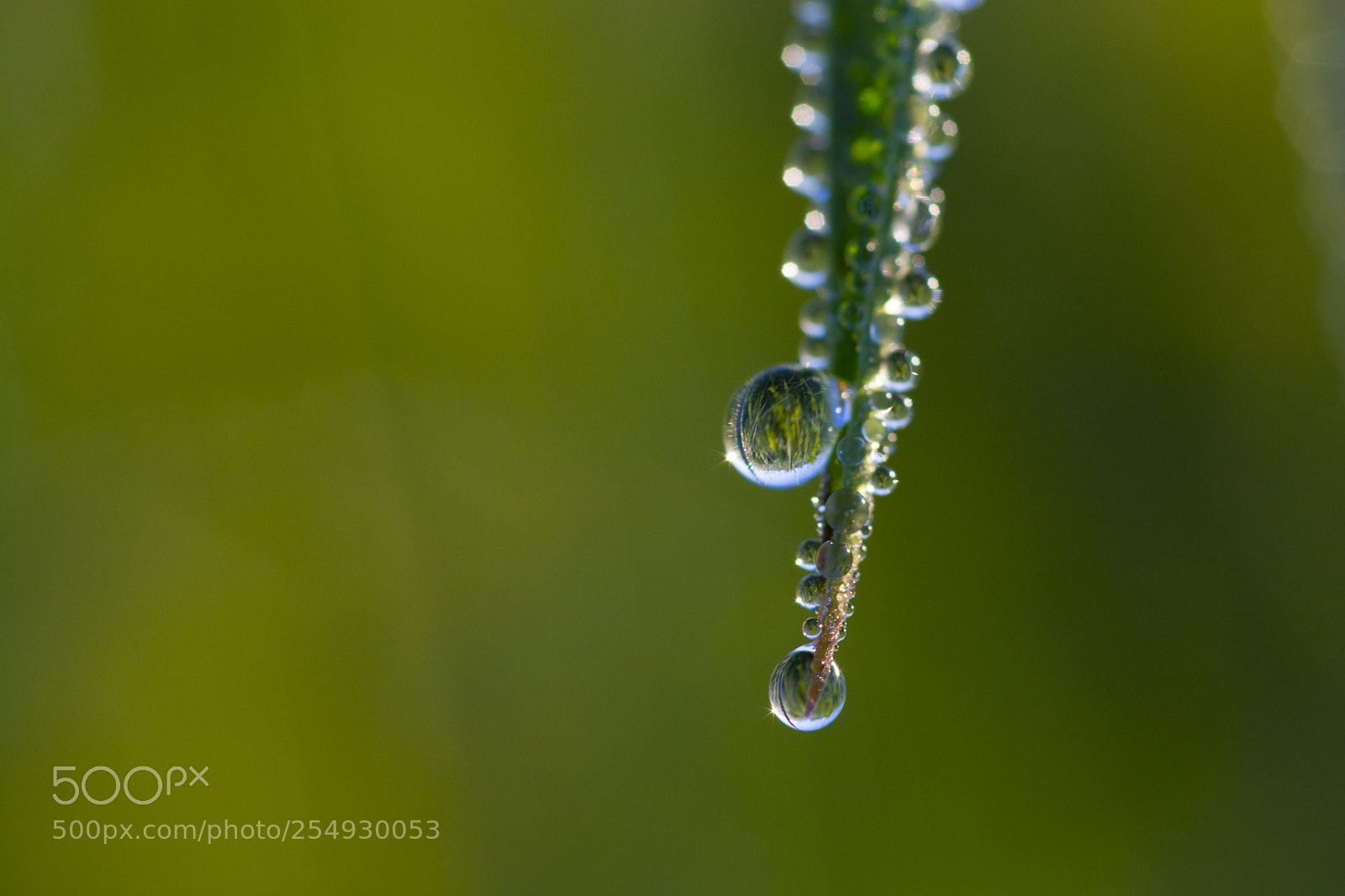 Nikon D7100 sample photo. Morning photography