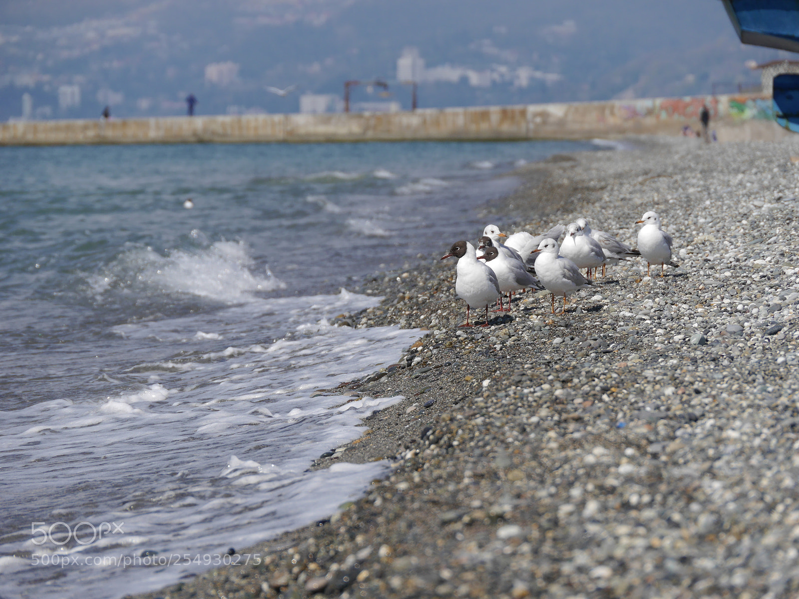 Panasonic Lumix DMC-G6 sample photo. Untitled photography