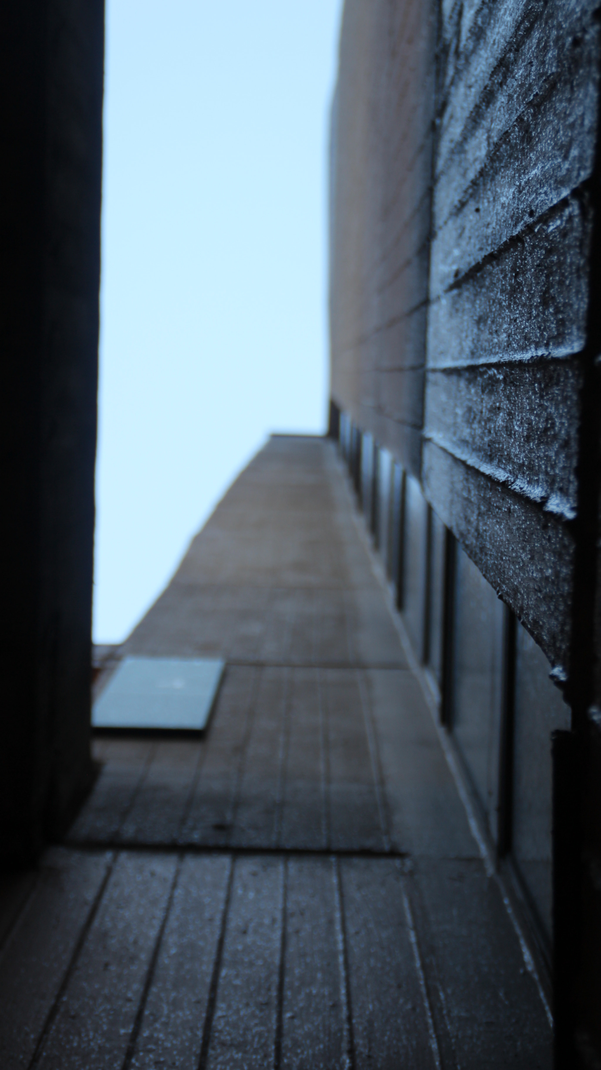 Canon EOS 600D (Rebel EOS T3i / EOS Kiss X5) sample photo. Looking up... photography