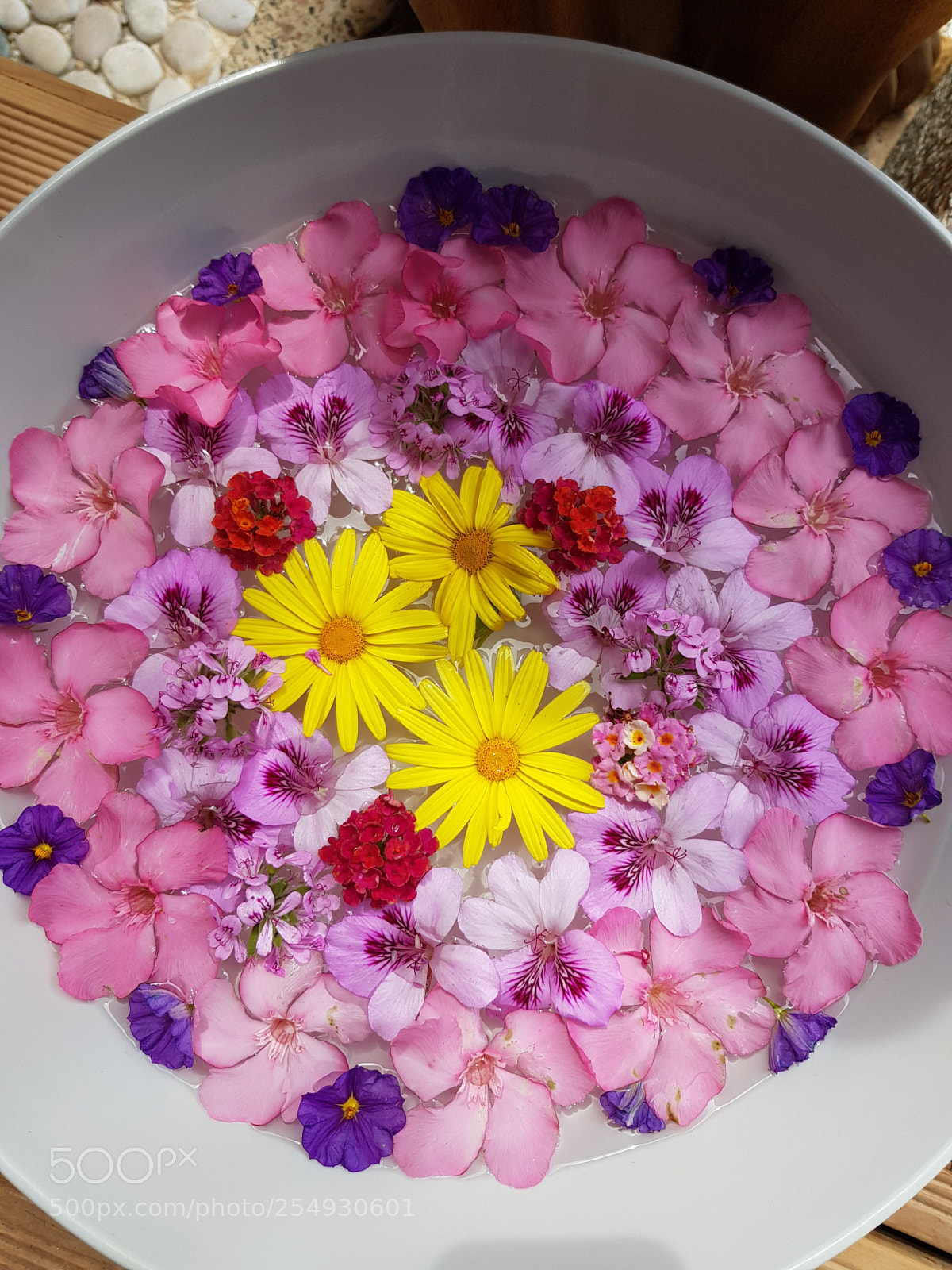 Samsung Galaxy S8 sample photo. Bowl of flowers. photography