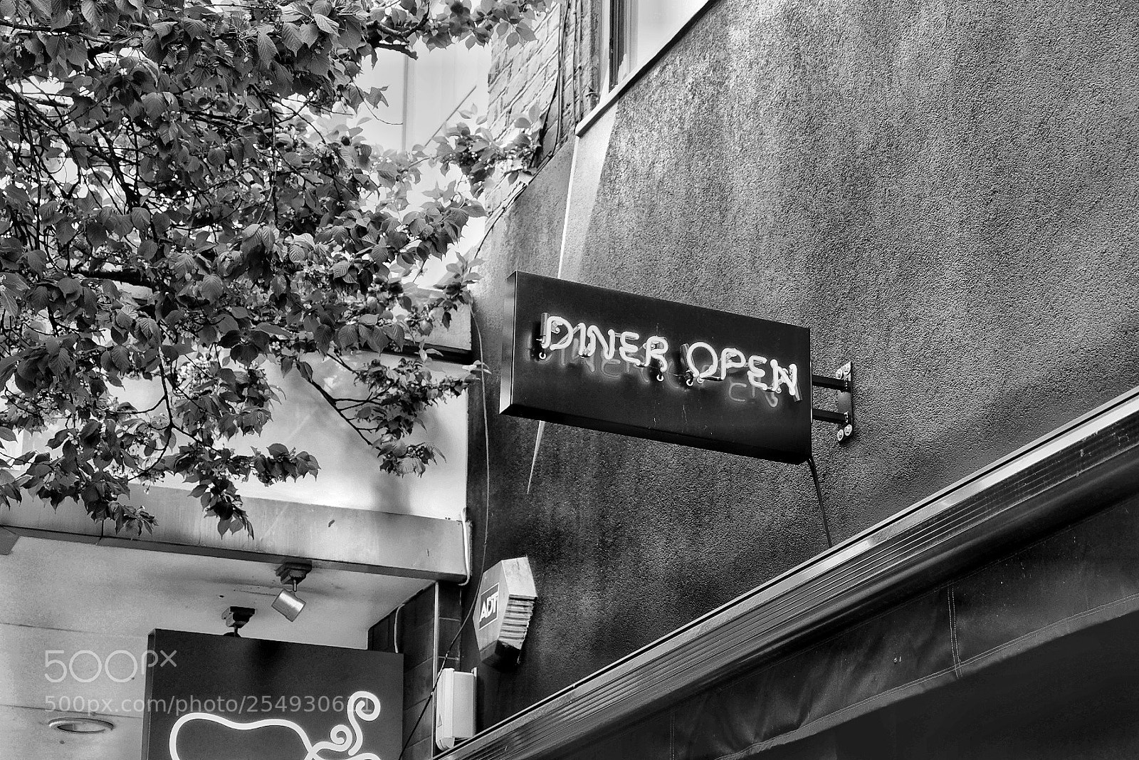 Fujifilm X-T10 sample photo. Untitled photography