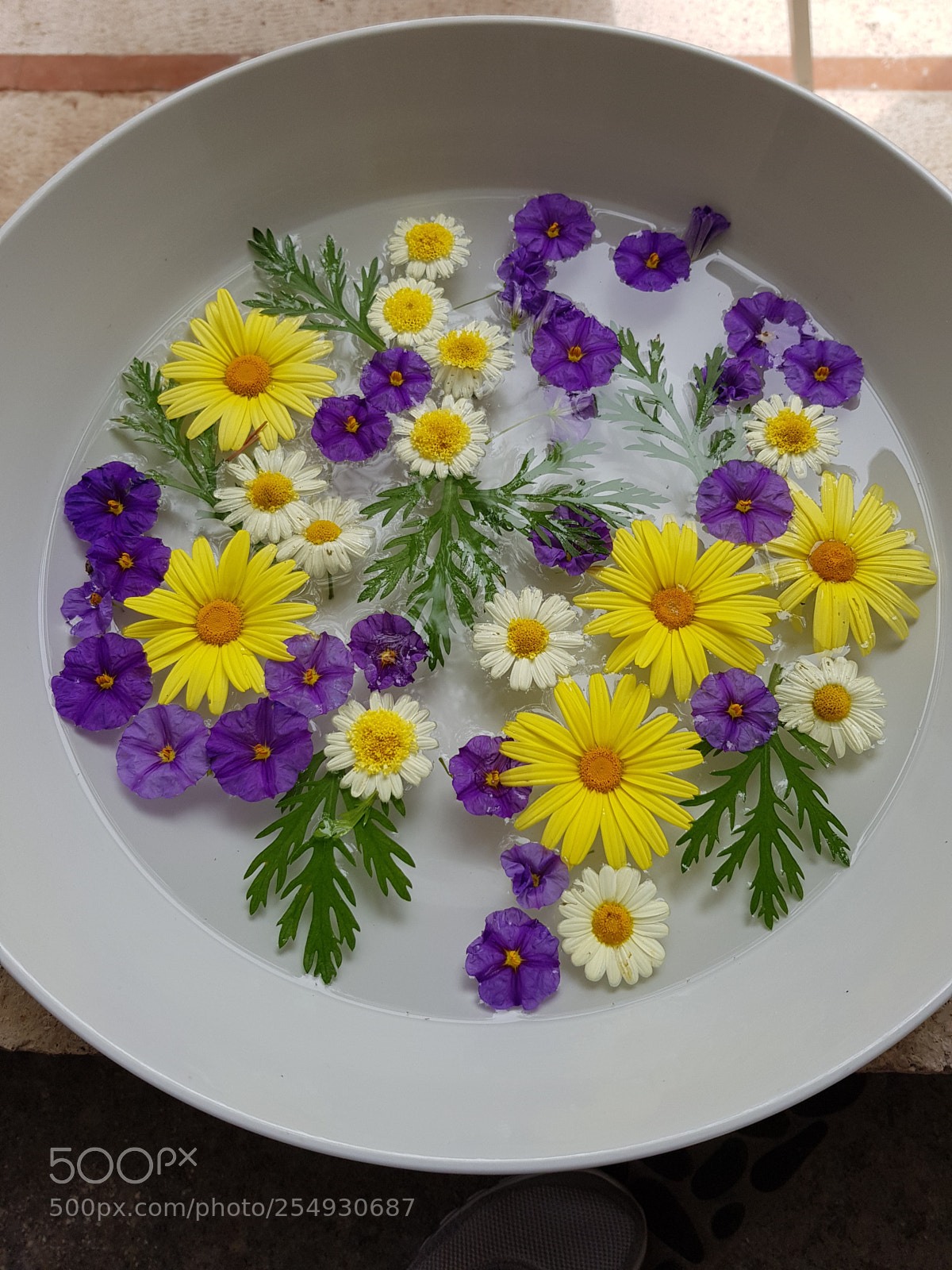 Samsung Galaxy S8 sample photo. Bowl of flowers in photography
