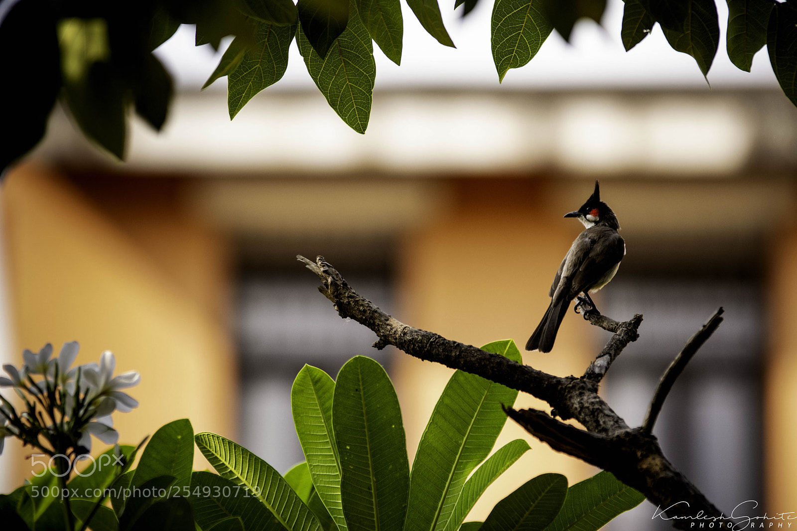 Nikon D5200 sample photo. Untitled photography