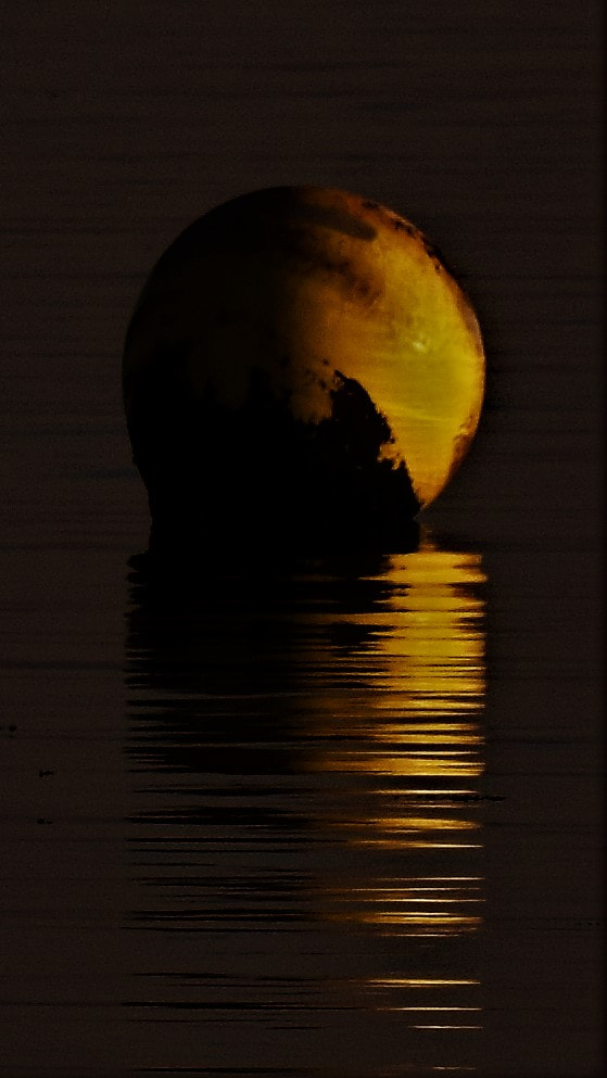 Nikon D5300 sample photo. Buoy photography