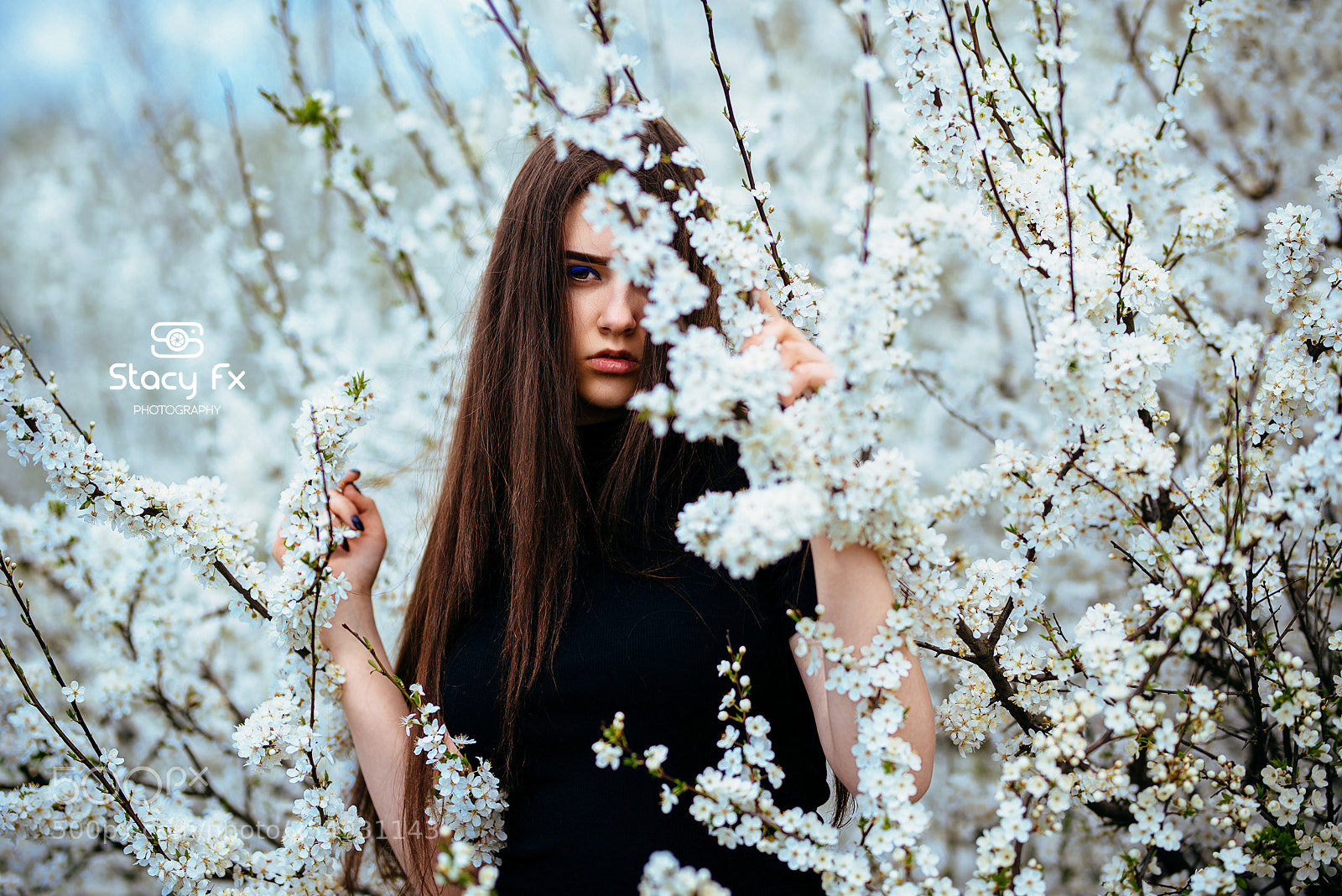 Nikon D800 sample photo. Hello spring photography