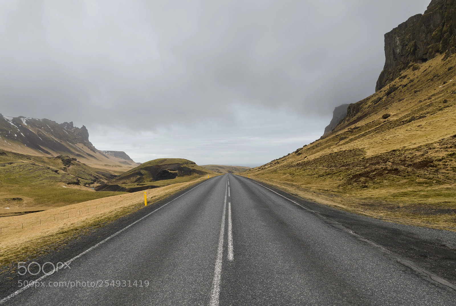 Nikon D850 sample photo. On a road in photography
