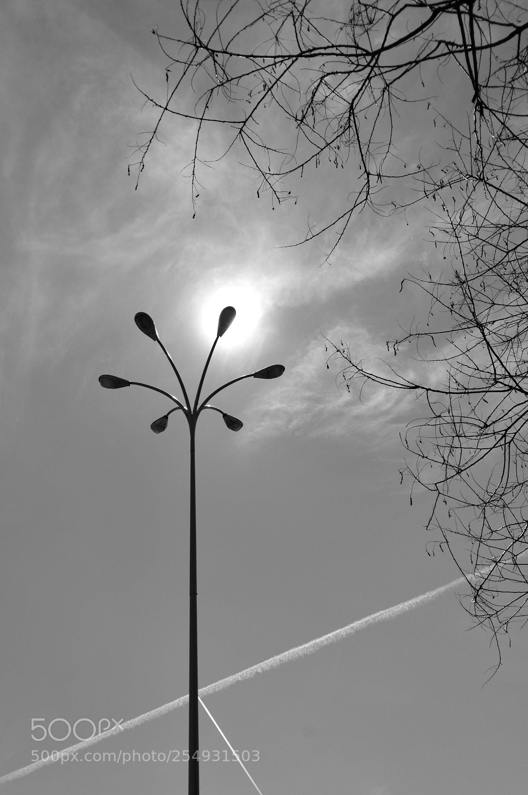 Nikon D7200 sample photo. Geometrics photography
