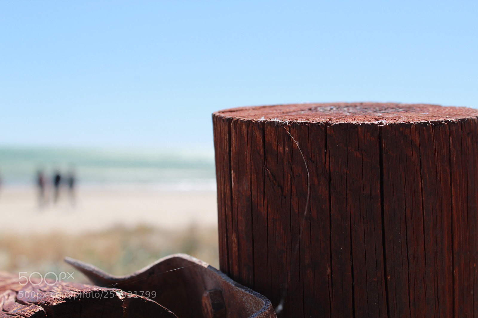 Canon EOS 1300D (EOS Rebel T6 / EOS Kiss X80) sample photo. Enfoca... desenfoca... photography