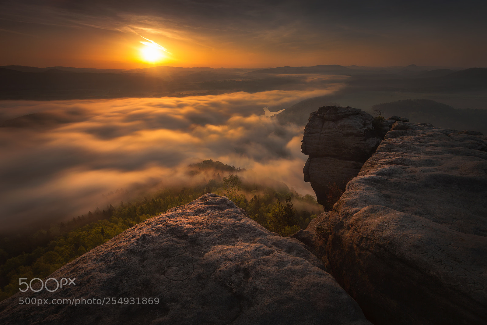 Canon EOS 5D Mark II sample photo. Golden saxony photography