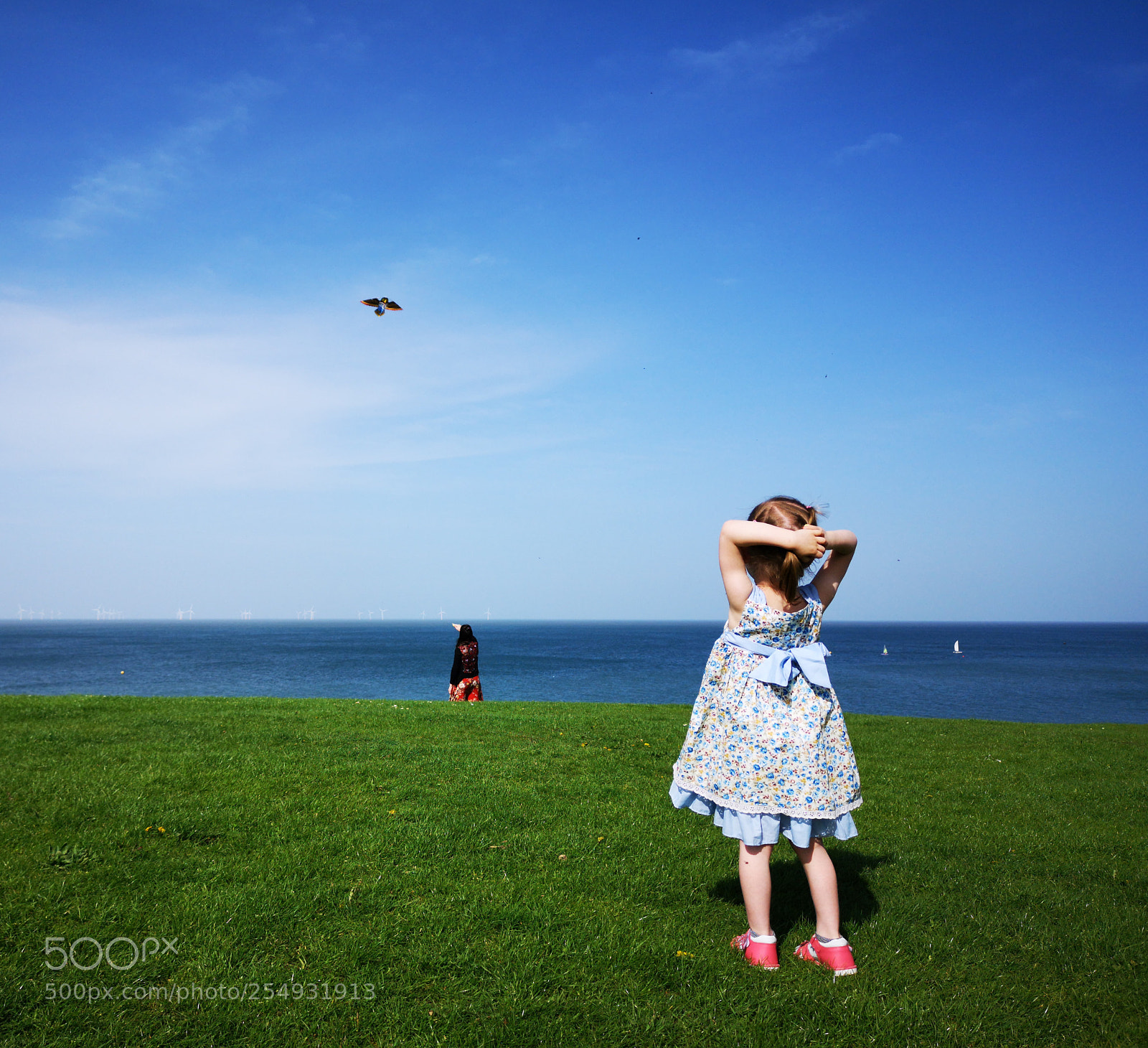 HUAWEI CLT-L09 sample photo. High as a kite photography